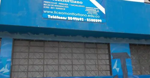 LICEO PEDAGOGICO MONTFORTIANO VENECIA OCCIDENTAL LICEO PEDAGOGICO MONTFORTIANO VENECIA OCCIDENTAL